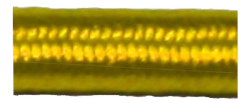 1a-bootshop202605092019403175544