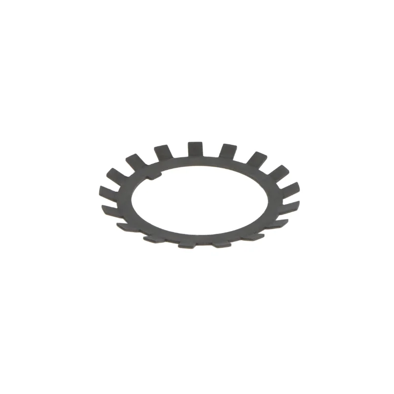 rotall-kugellagershop202605091554343134696
