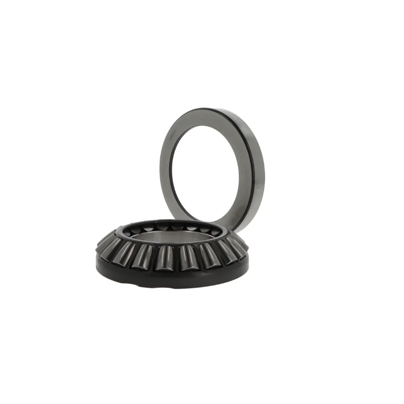 rotall-kugellagershop202605091726473148899